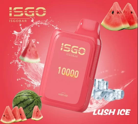 Isgo Bar 10000 in hand, slim vape device, portable e-cigarette pocket, vaping in Business Bay - Buy ISGO Bar 10000 Puffs Disposables Vape 50mg, 5%Nic, 650mAh